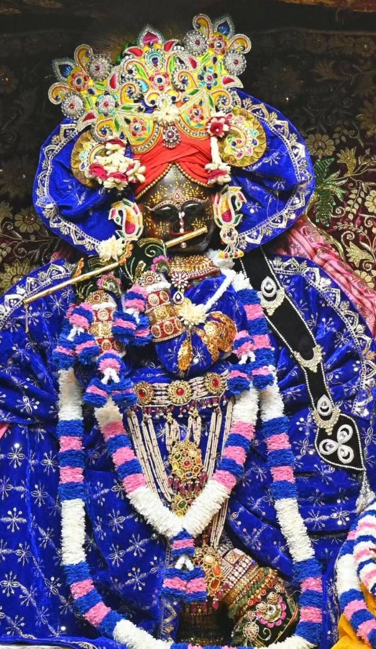 vrindavanpropertycare